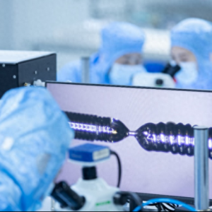 202442ϺHt(y)еչ[(hu)626ʢ_Ļ