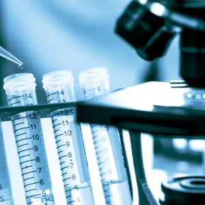 t(y)еI(y)Ҏ(gu)ģͬL10%